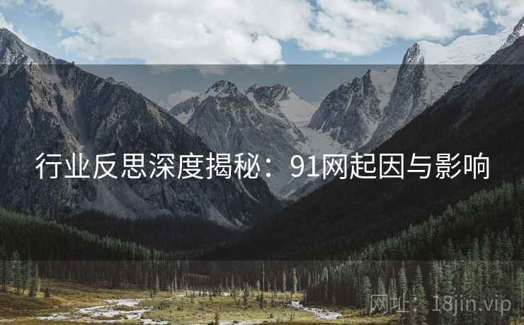 行业反思深度揭秘：91网起因与影响